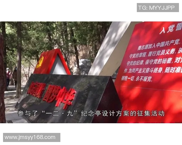 深圳篮球队的崛起之路：一段激情与奋斗交织的纪实故事