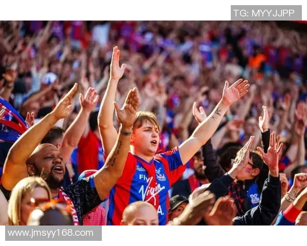 打向看台的足球明星背后的故事与球迷的热情碰撞 打向看台的足球明星背后的故事与球迷的热情碰撞