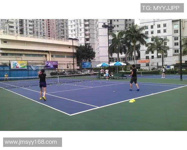 深圳网球队的节奏与发展：探索网球运动的魅力与未来