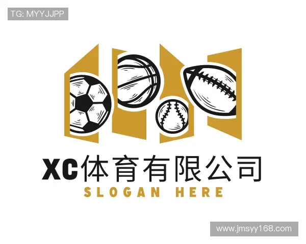 介绍xc体育